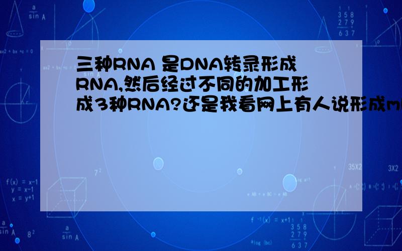 三种RNA 是DNA转录形成RNA,然后经过不同的加工形成3种RNA?还是我看网上有人说形成mRNA再加工成其他两种?