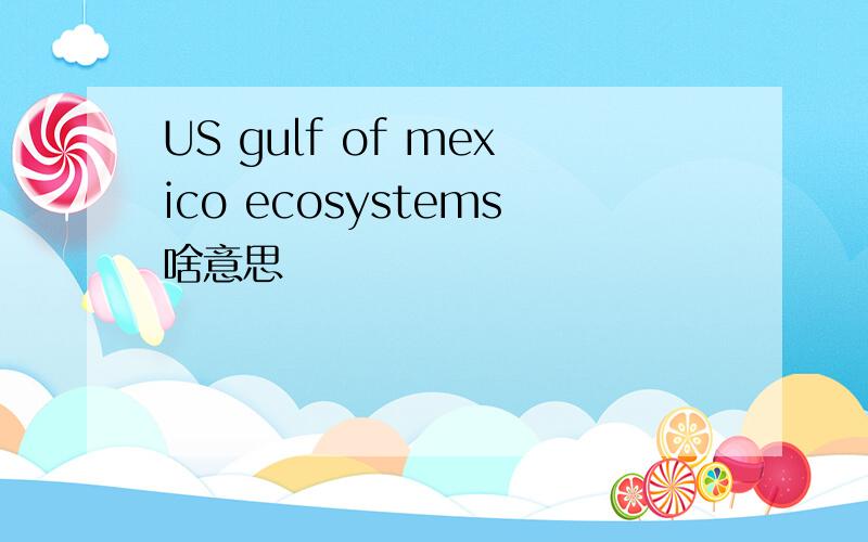 US gulf of mexico ecosystems啥意思