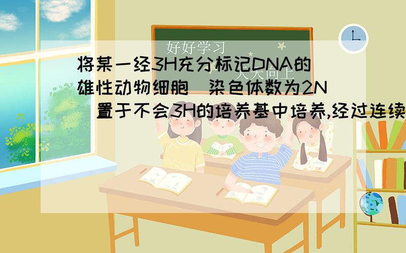 将某一经3H充分标记DNA的雄性动物细胞(染色体数为2N)置于不会3H的培养基中培养,经过连续两次细胞分裂解析5. 将某一经3H充分标记DNA的雄性动物细胞（染色体数为2N）置于不含3H的培养基中培