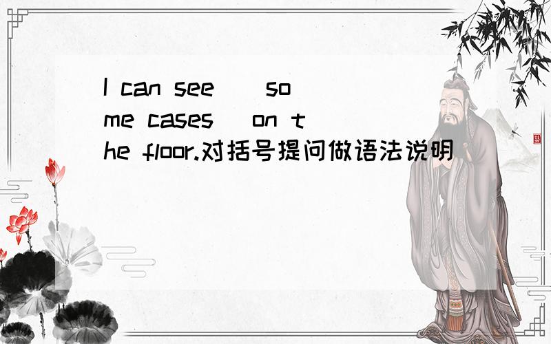 I can see ( some cases) on the floor.对括号提问做语法说明